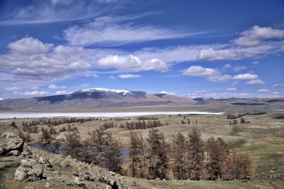 photo 1143313