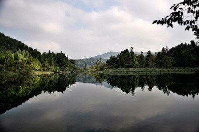 photo 1115908