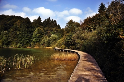 photo 1116324