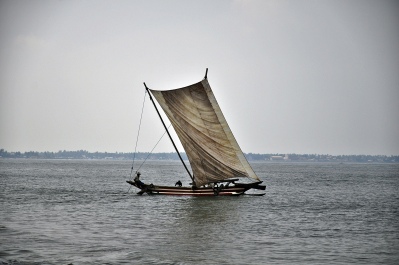photo 1209265