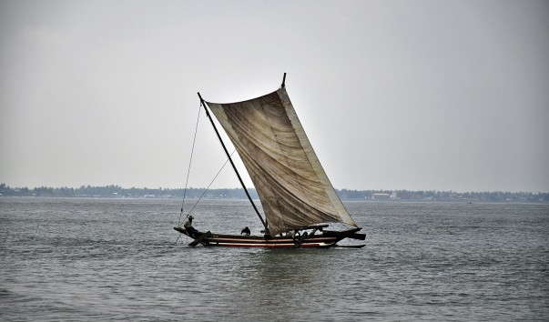 _DSC0935