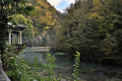 photo 1109883