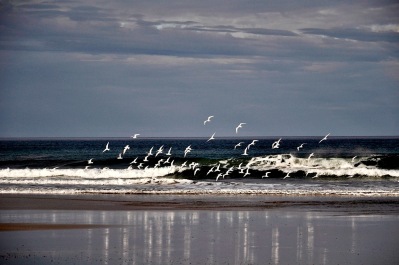 photo 1131017