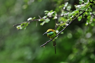 photo 1141259
