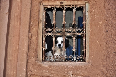 photo 1165085