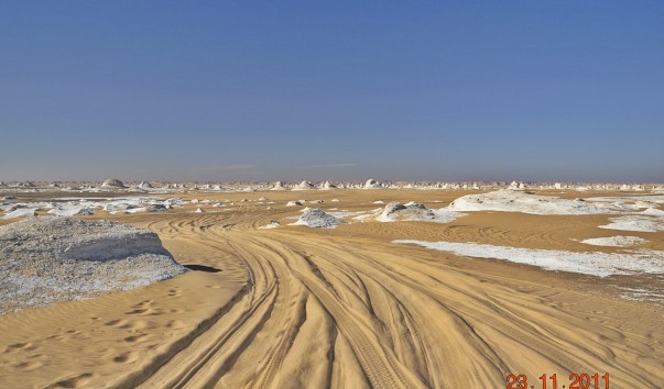 _DSC0590