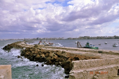 photo 1177882