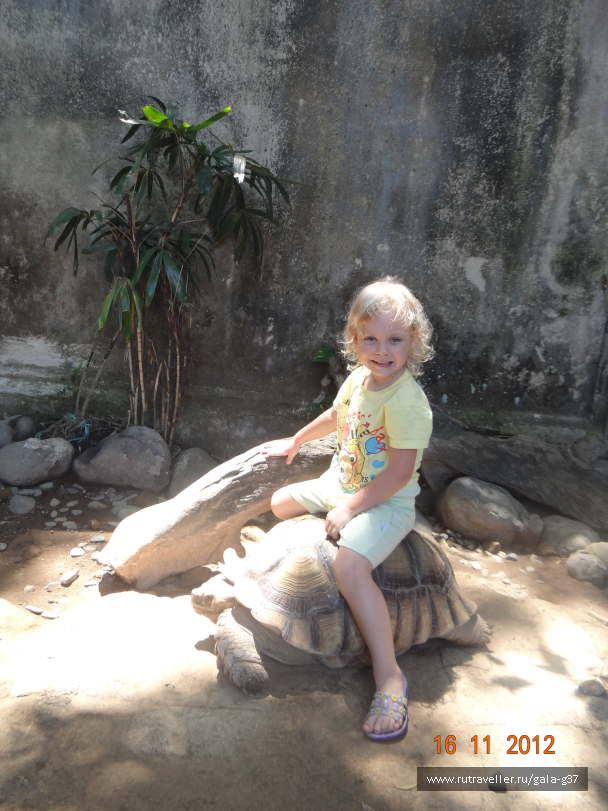 photo 1107429