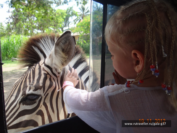 photo 1107433