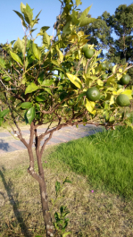 photo 1534378