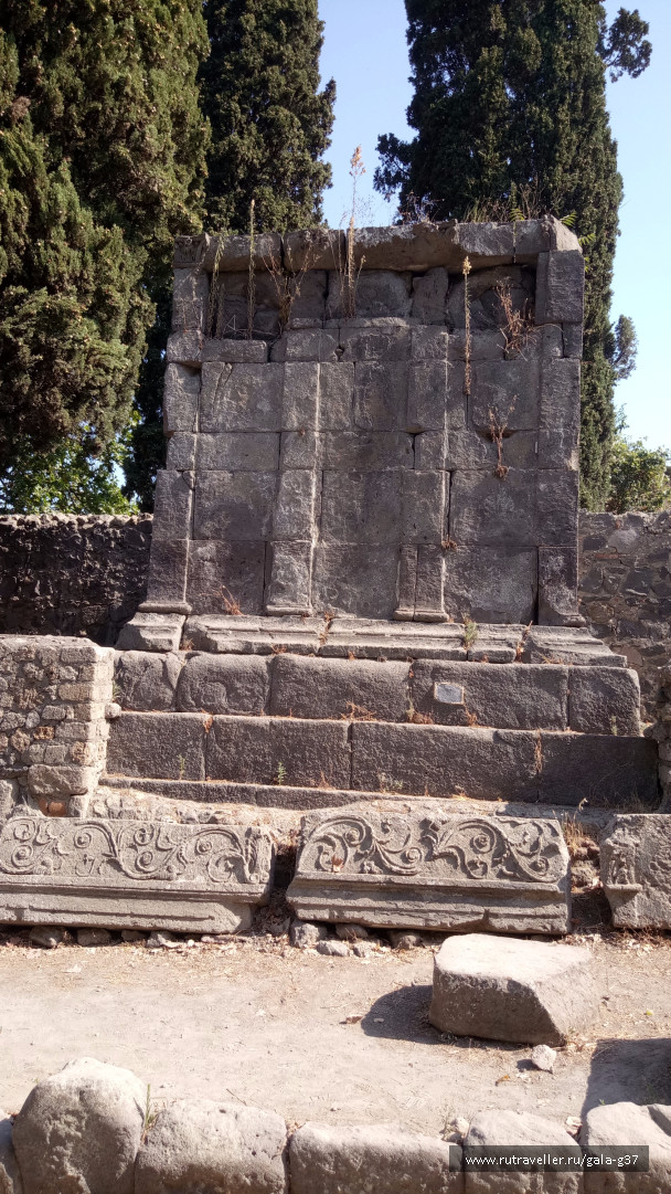 photo 1534384