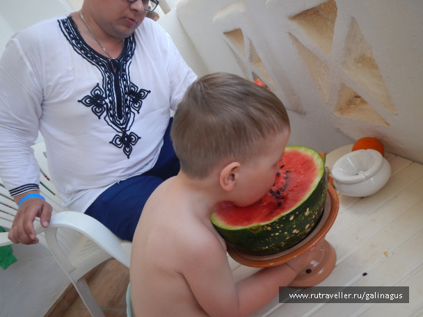 photo 1310637