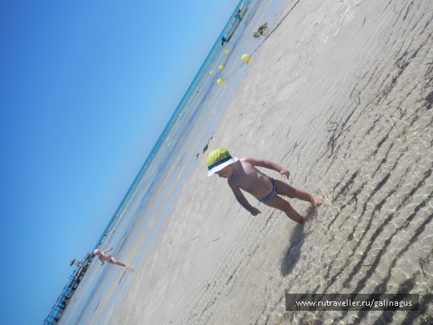 photo 1310642