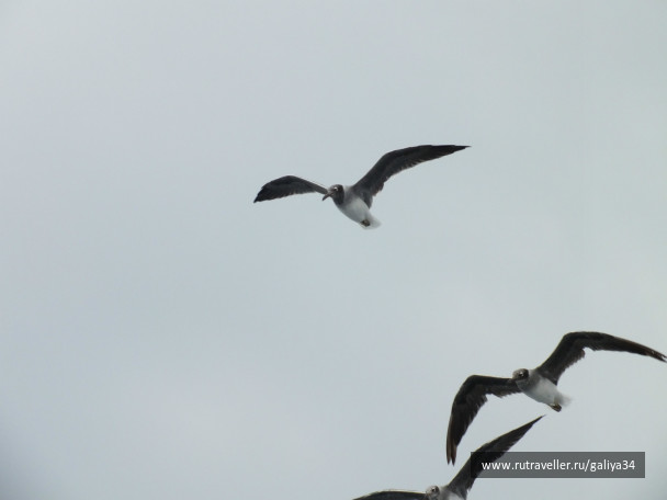 photo 301789