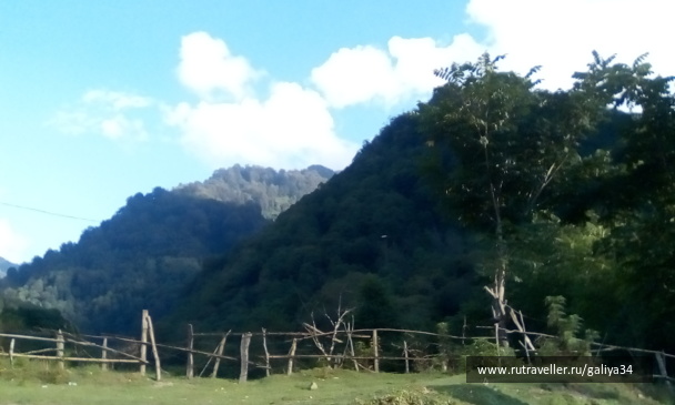 photo 1389899