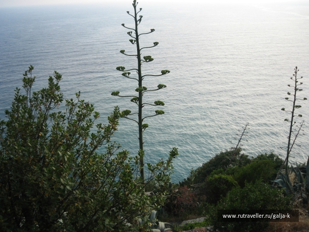 photo 832815