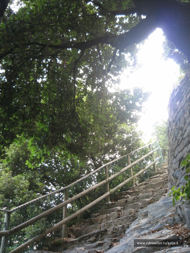 photo 832817