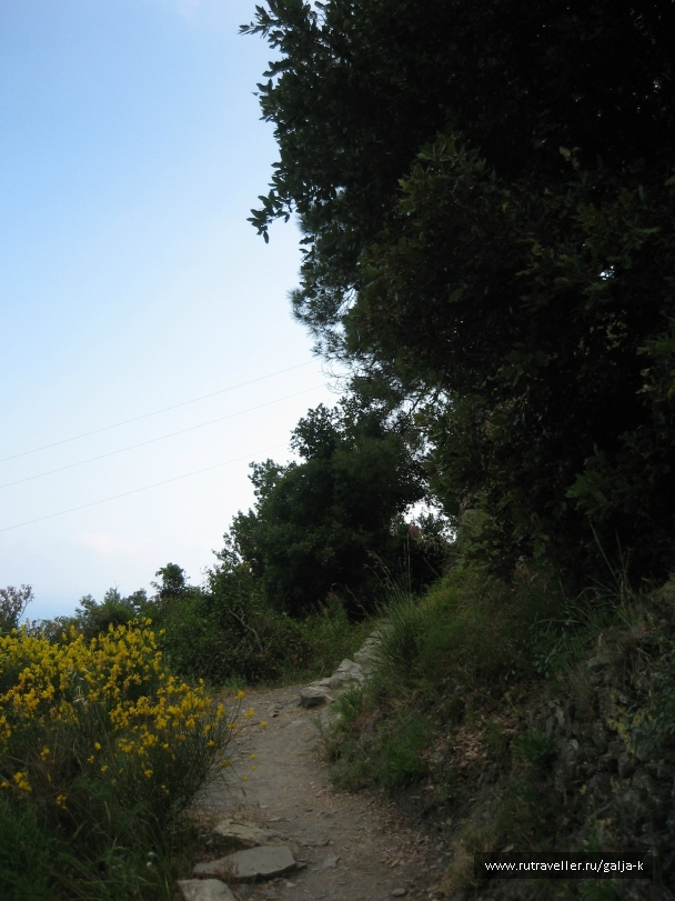 photo 832820