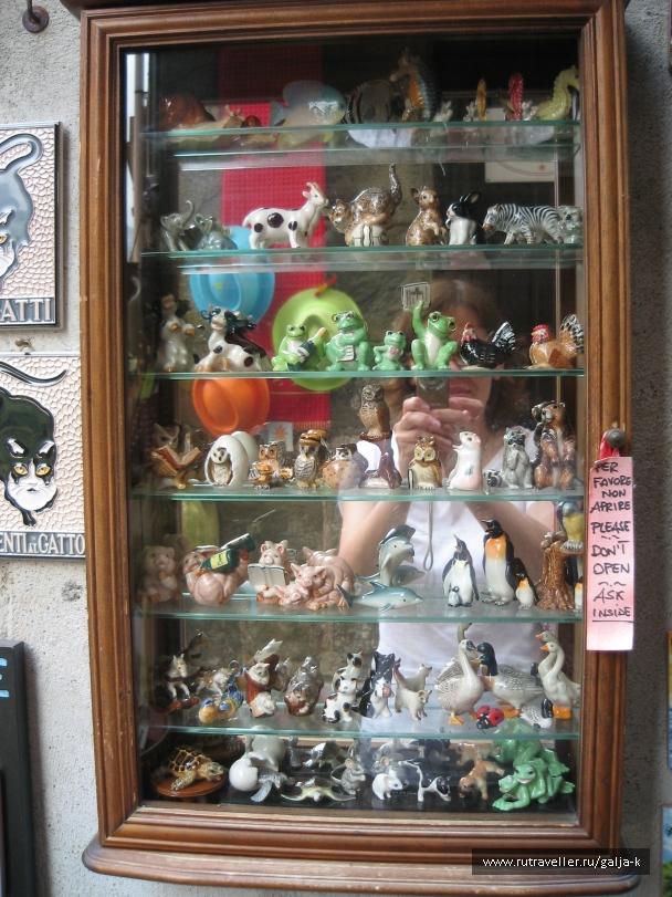 photo 832841