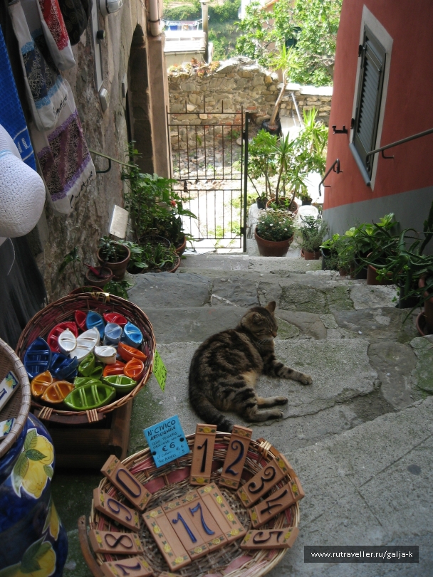 photo 832845