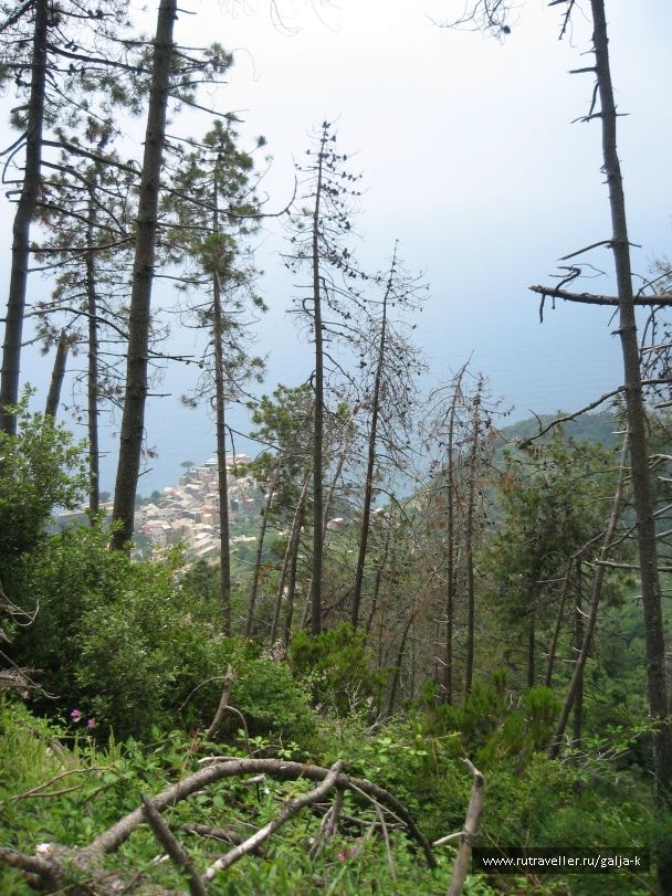 photo 832853