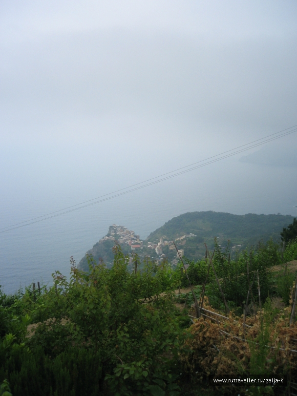 photo 832857