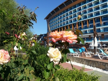 photo 917869