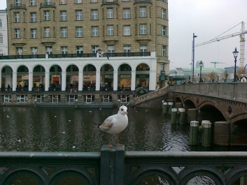 photo 919149
