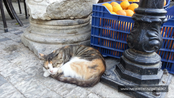 photo 1057173