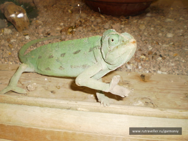 photo 10477