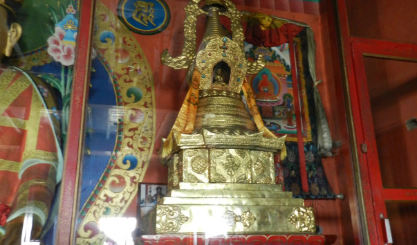 DSCN8460