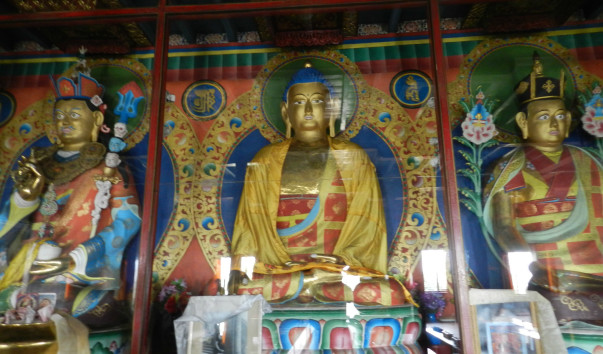 DSCN8459