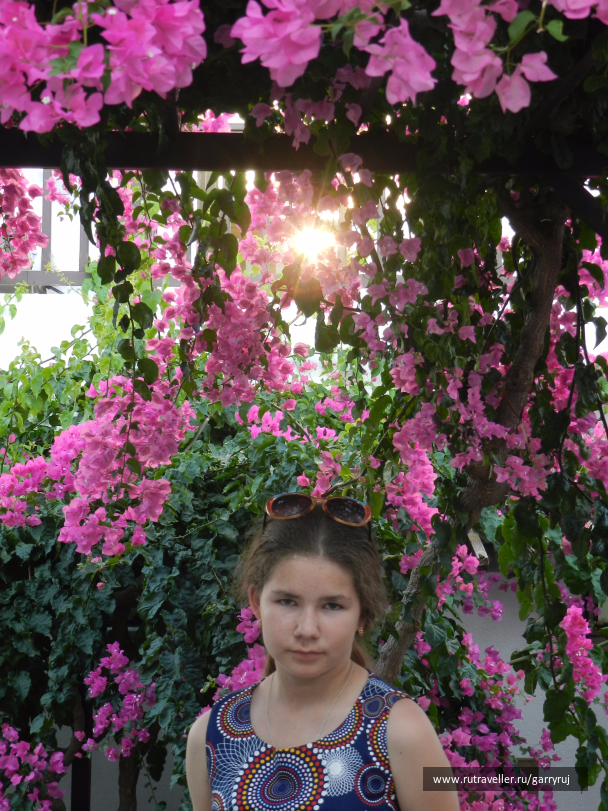 photo 1086221