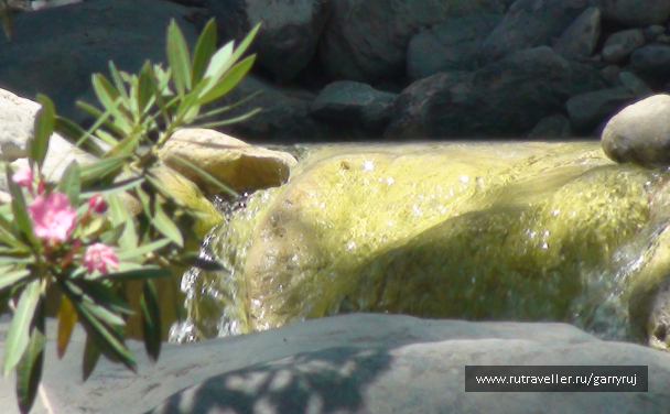 photo 1090475