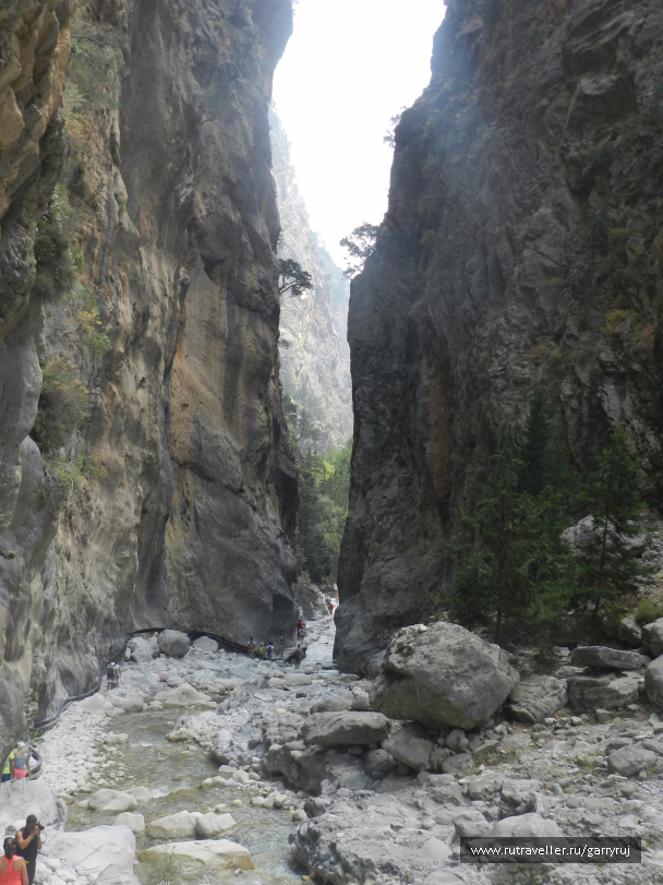photo 1093394