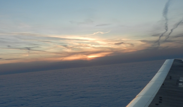 DSCN1024