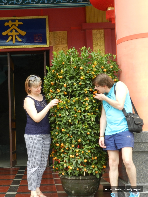 photo 1259458