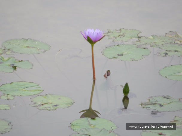 photo 1260427