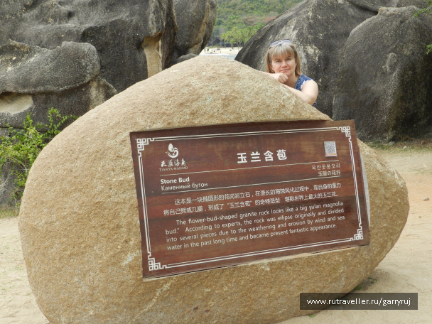 photo 1260433