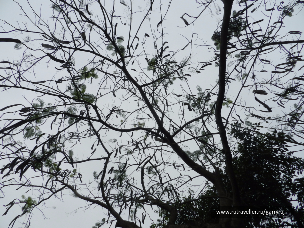 photo 1260795