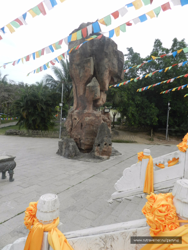 photo 1264793
