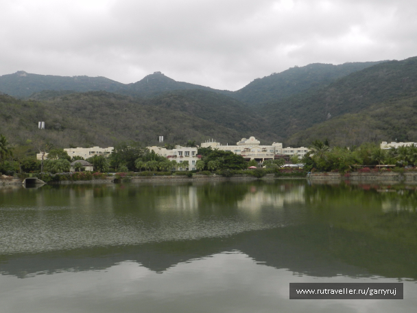 photo 1265413