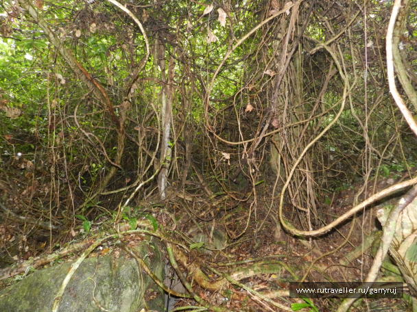 photo 1267020