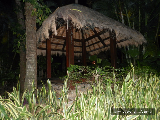 photo 1267384