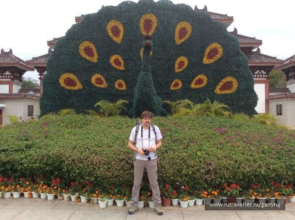 photo 1268156