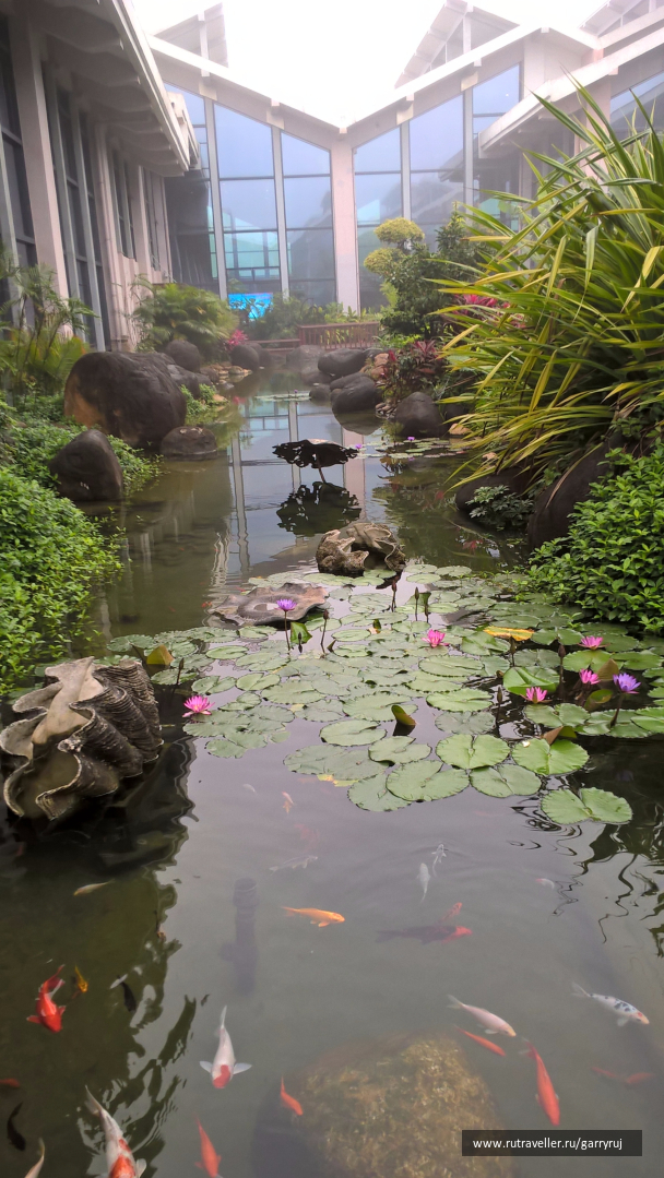 photo 1269322