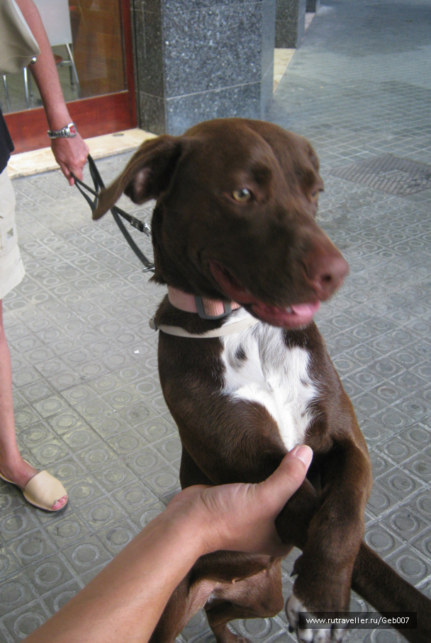 photo 91526