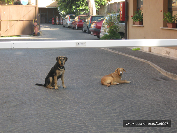 photo 91774