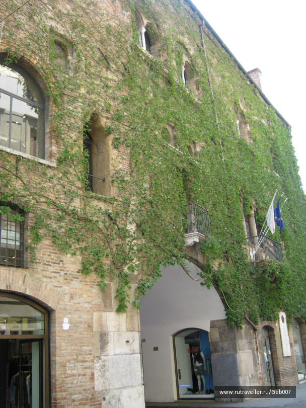 photo 91782