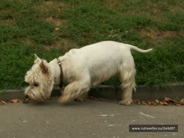 photo 92879